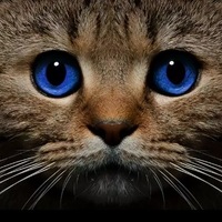 Светлана Дьяконова | Петровск