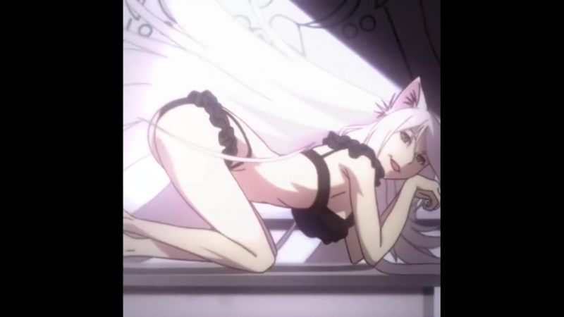Nekomonogatari vines