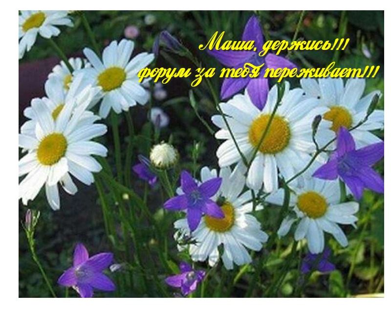 https://pp.userapi.com/c845524/v845524109/1e596d/9CuW1n7X3fw.jpg