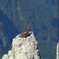 Катя Воропаева