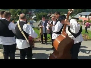 Hrvatski gajdaški orkestar i prijatelji - Šokački mix