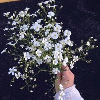 Екатерина Алиева | 