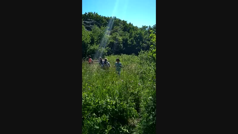 VID-20180603-WA0017.mp4