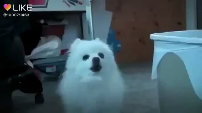 милашка,❤