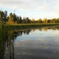 Александр Счастливый | 