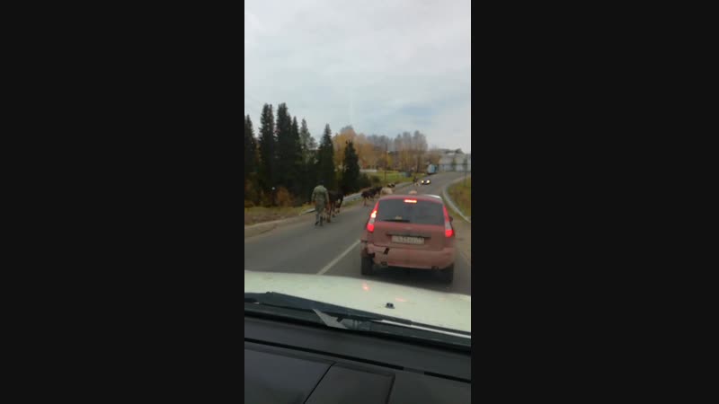 Усть Цильма
