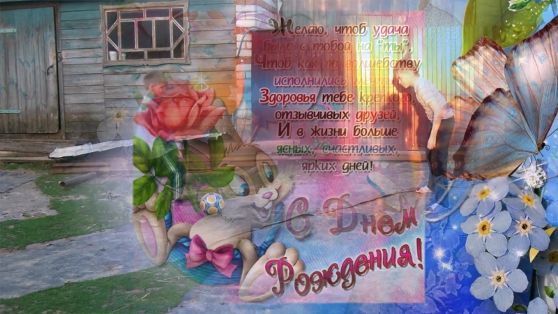 СДР костя (1)