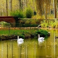 Алёна Шмакова | Новосибирск