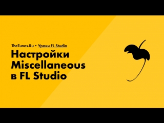 010. Настройки Miscellaneous в FL Studio