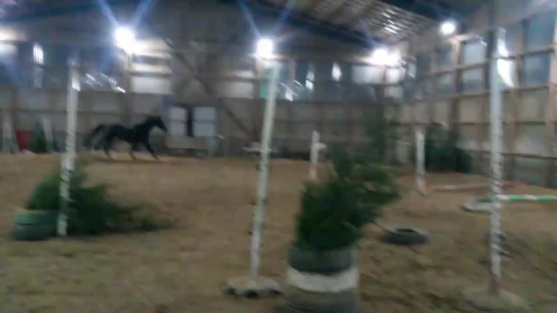 шпрингартен Драгоценная 12.02.19