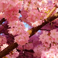 Ирина Калинина | Уфа