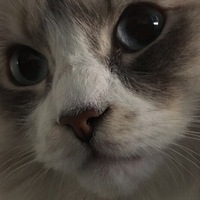 Анна Летова | 