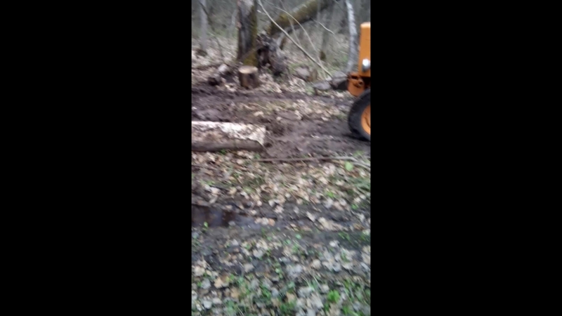 VID_20180425_171204.3gp