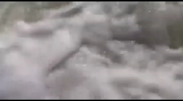 Laura_sarsebekova video