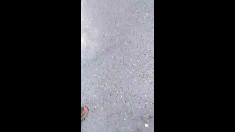 амир урод