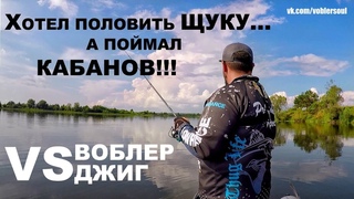 Хотел половить Щуку, а поймал Кабанов... Воблер VS Джиг. Спиннинг летом на озере. Рыбалка 2018.