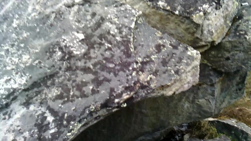 VID_20140519_203006