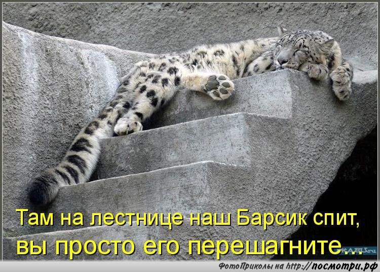 yxIPj1RqDEI.jpg