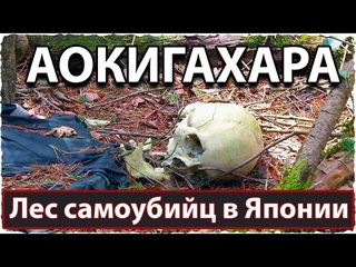 Аокигахара - лес самоубийц в Японии | Aokigahara - Suicide Forest in Japan