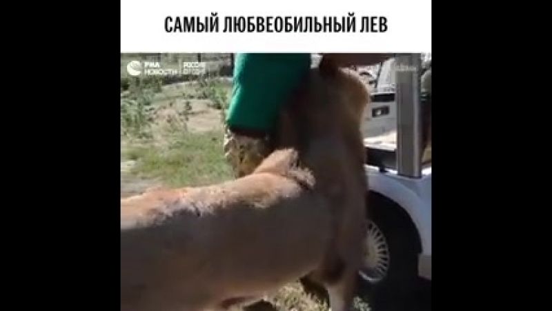 Lev_obnimatel-spcs.me.mp4