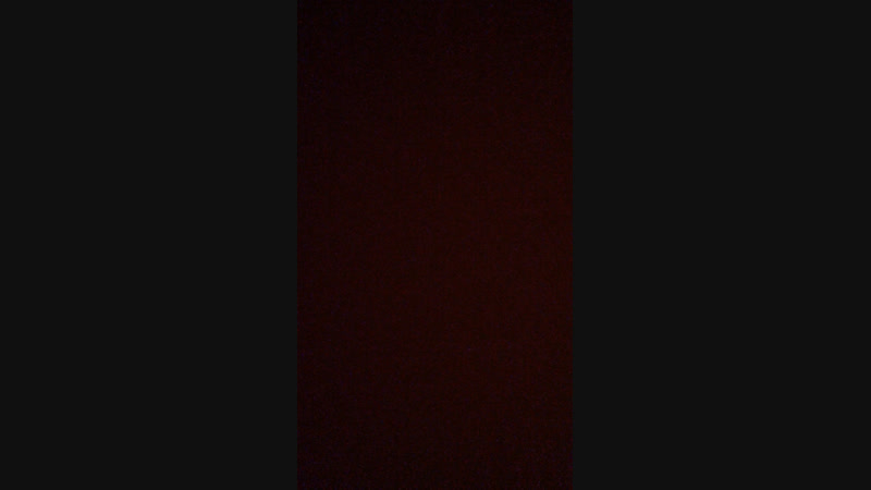 Саша Мещеряков — Live