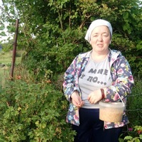 Екатерина Караваева | 