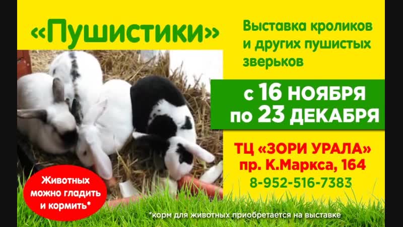 Pushistiki_HD_20_11_18_zvuk