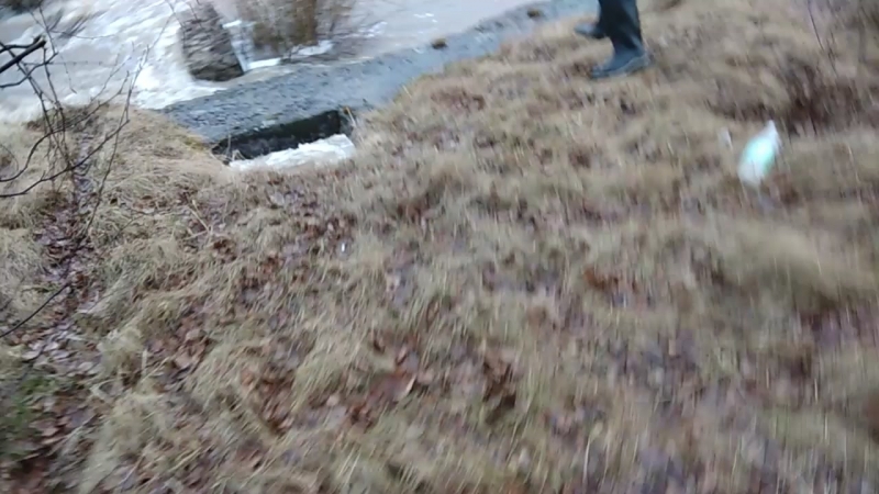 Сплав по Немде