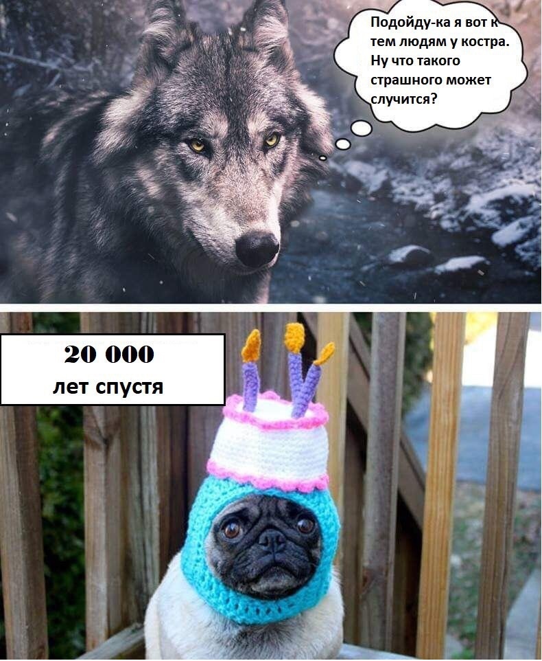 Cwr_r6aDzmw.jpg