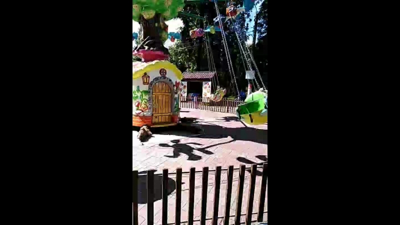Яна Карпеева - Live