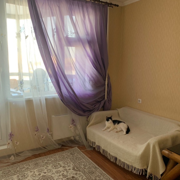 Фото: Всем доброго времени суток! <br>Сдадим изолированную комнату в 3-комнатной квартире  <br>Территориально: верх серой ветки - метро Отрадное и Бибирево. До Бибирево пешком идти минут 7-10, очень близко, до Отрадного минут 20, но ходит автобус (остановка в 5 минутах), так же можно доехать до Бабушкинской/Медведково на автобусе) <br>Квартира находится в новостройке ЖК Юрлово (10 этаж). Все условия для проживания есть (стиральная машина, холодильник, микроволновка и т.д), санузел раздельный,есть wi-fi, кухня большая и светлая, квартира - НЕ бабушкин вариант! <br>Комната небольшая, но уютная + есть балкон. Комната была полностью пустая, сейчас есть диван(спальное место), столик, кресло, вешалка и можем повесить телевизор на стену. <br>В других комнатах проживают девушки (например, я) <br> <br>Наше пожелания: <br>-сдадим комнату ТОЛЬКО ЖЕНСКОМУ ПОЛУ <br>- без вредных привычек <br>- платежеспособной <br>- и не имеющей ничего против кошек  <br>Мы уважаем личное пространство, но и можем собраться вечером с чашкой кофе или чая) <br>17000 вместе с комуналкой и wi-fi. + 8500 страховой депозит <br>Заезд на следующей неделе, в любое время по договоренности можно приехать и посмотреть) <br>Писать в лс