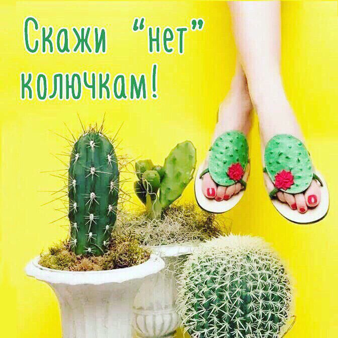 Открытки днем, картинки не будь колючкой