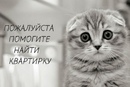 Объявление от Maria - фото №1