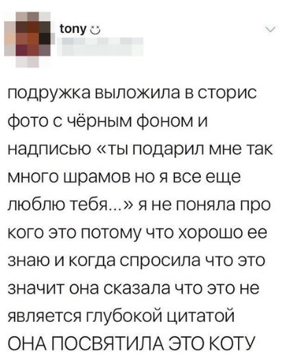 веселые картинки