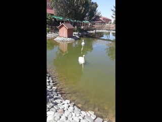 Turkya