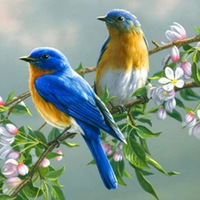 Анна Белинская |