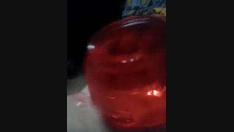 Video-2019-01-05-17-09-39