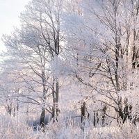 Валерия Захарова