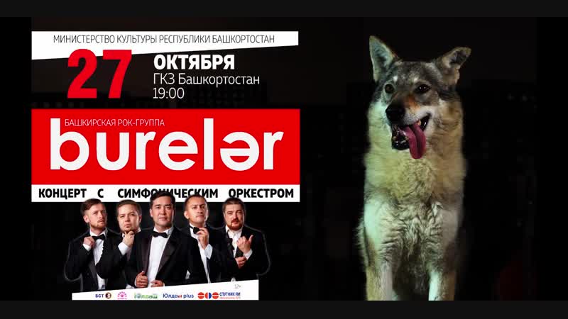 Бүреләрҙең ҙур концерты!