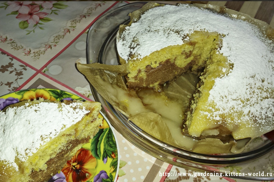 Мраморный кекс в микроволновке Мраморный кекс в микроволновке