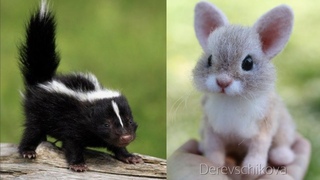 Cute baby animals Videos Compilation cute moment of the animals Cutest Animals #14