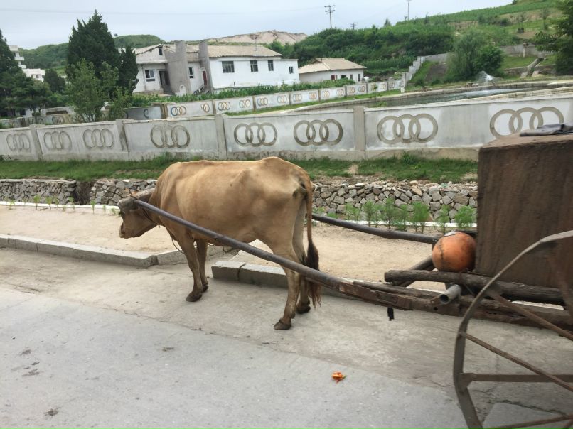 Отчет о путешествии в Северную Корею 2018. Некоторые ездят вот так