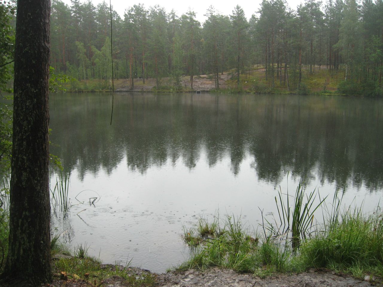 Карта шалово перечицкого заказника