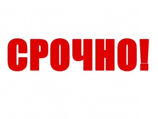 Сдам квартиру, комнату. <br>На долгий срок или сутки. <br>Разные районы города. <br>БЕЗ КОМИССИИ! <br>Все вопросы по телефону: 8 921 716 46 94. <br>Артём. - фото Фото: Сдам квартиру, комнату. <br>На долгий срок или сутки. <br>Разные районы города. <br>БЕЗ КОМИССИИ! <br>Все вопросы по телефону: 8 921 716 46 94. <br>Артём.