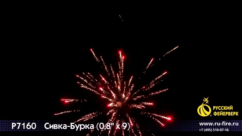 Сивка бурка