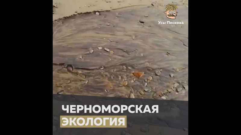 Черноморская экология