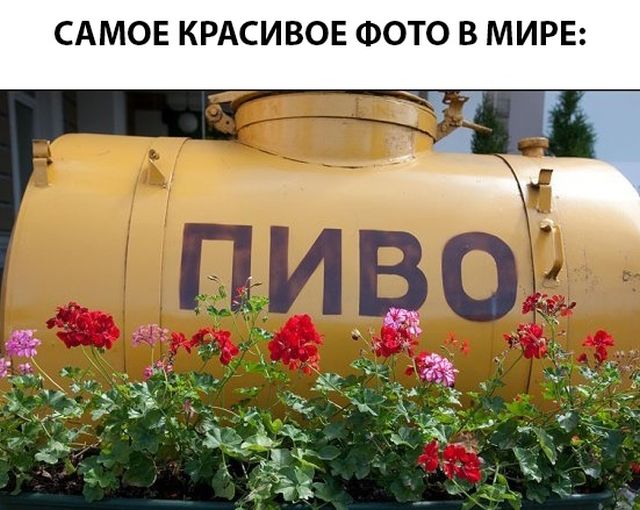 �������������� ����