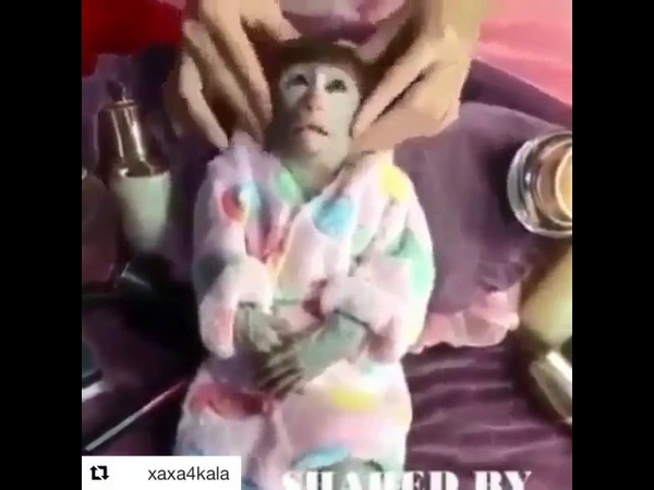 Массаж обезьяны
