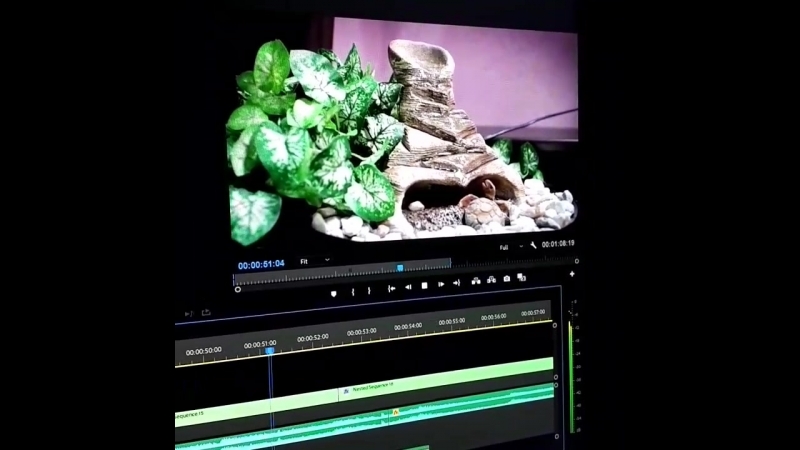 VID_63011230_054926_336.mp4