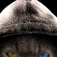 Дмитрий Смольняков | 